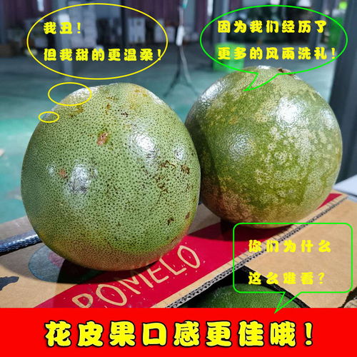 泰國青柚 白心金柚，當季鮮果，享譽全球的熱帶特產(chǎn)